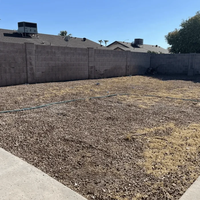 Backyard